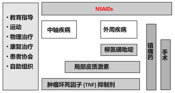 强直性脊柱炎|NSAIDs在强直性脊柱炎治疗中的应用