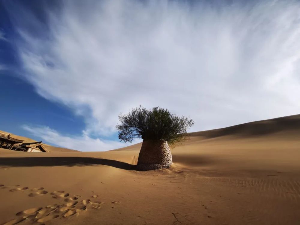 中秋|【高端原创诗词平台】云帆诗会2020第45期