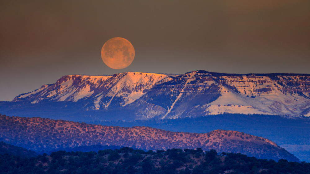中秋|【高端原创诗词平台】云帆诗会2020第45期