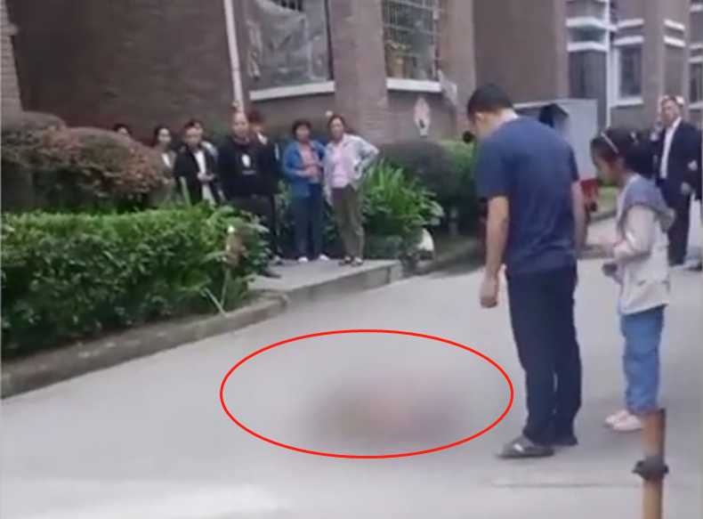 广西一小学女生因国庆作业未完成,赌气坠楼身亡!_腾讯新闻