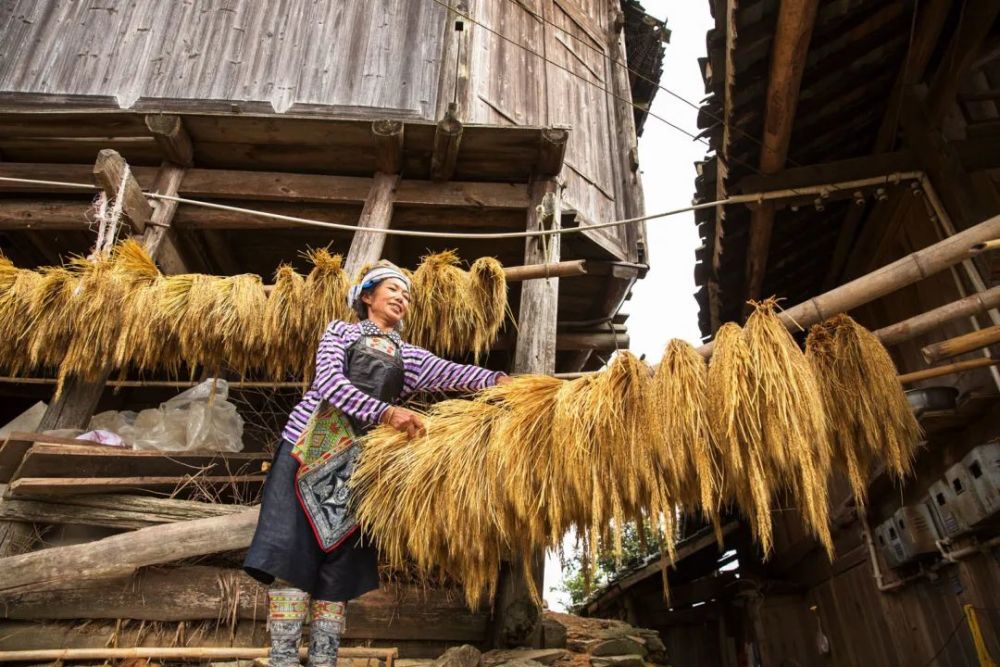 苗侗|人文行走│阅读古州，大山之中的人文密码