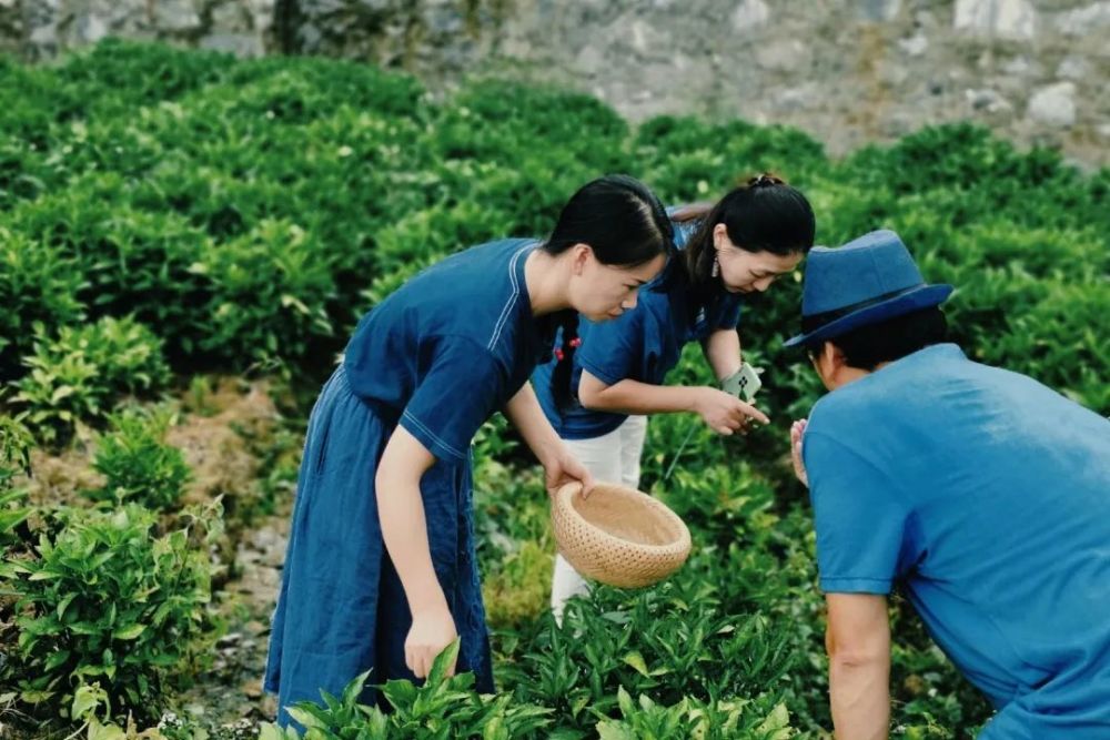 苗侗|人文行走│阅读古州，大山之中的人文密码