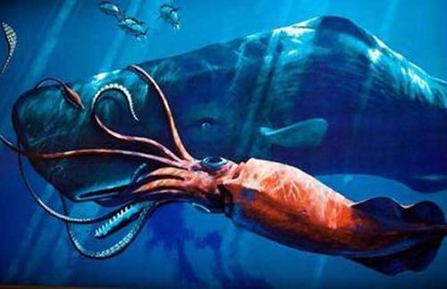 鲸鱼|鲸鱼全身都是肉，能轻松潜入深海，为什么人类的潜艇却做不到？