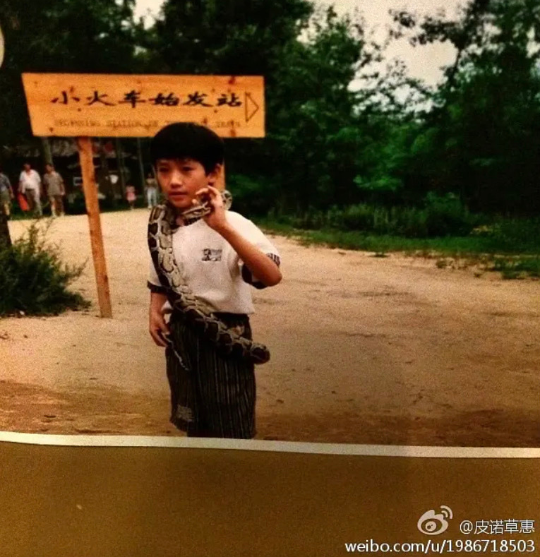 朱一龙|一天一锤，这脱粉回踩的力度也太大了吧？