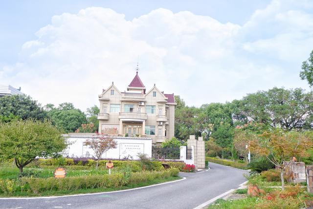 实拍浙江海宁农村户户别墅还有咖啡馆越来越像欧洲的乡村了