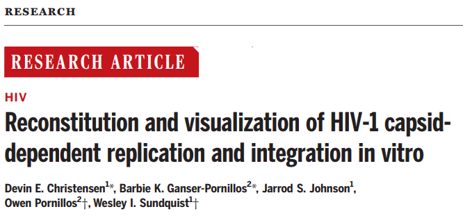 人类免疫缺陷病毒|科学家首次在体外重建HIV复制和整合过程，病毒“保护壳”或是治疗突破口