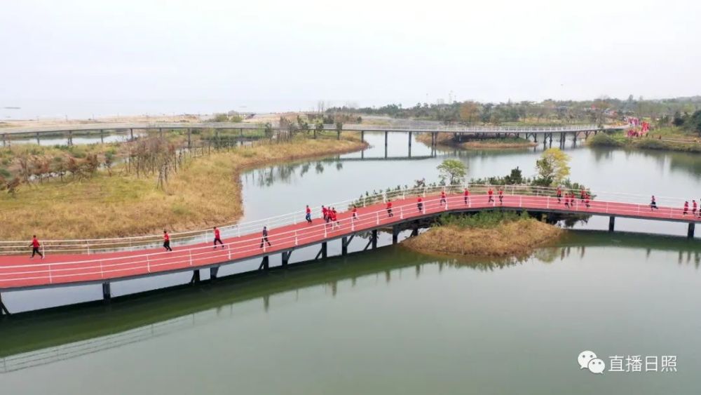 马拉松|全城沸腾！日照马拉松激情开跑！赛道太美，这些画面燃爆了！