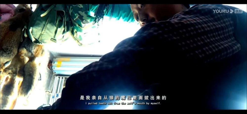 李微漪|养大了一头狼然后放生，给它爱也给它自由