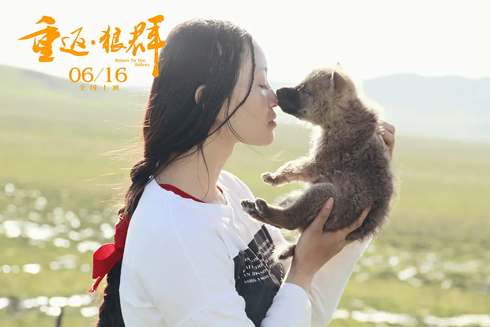 李微漪|养大了一头狼然后放生，给它爱也给它自由