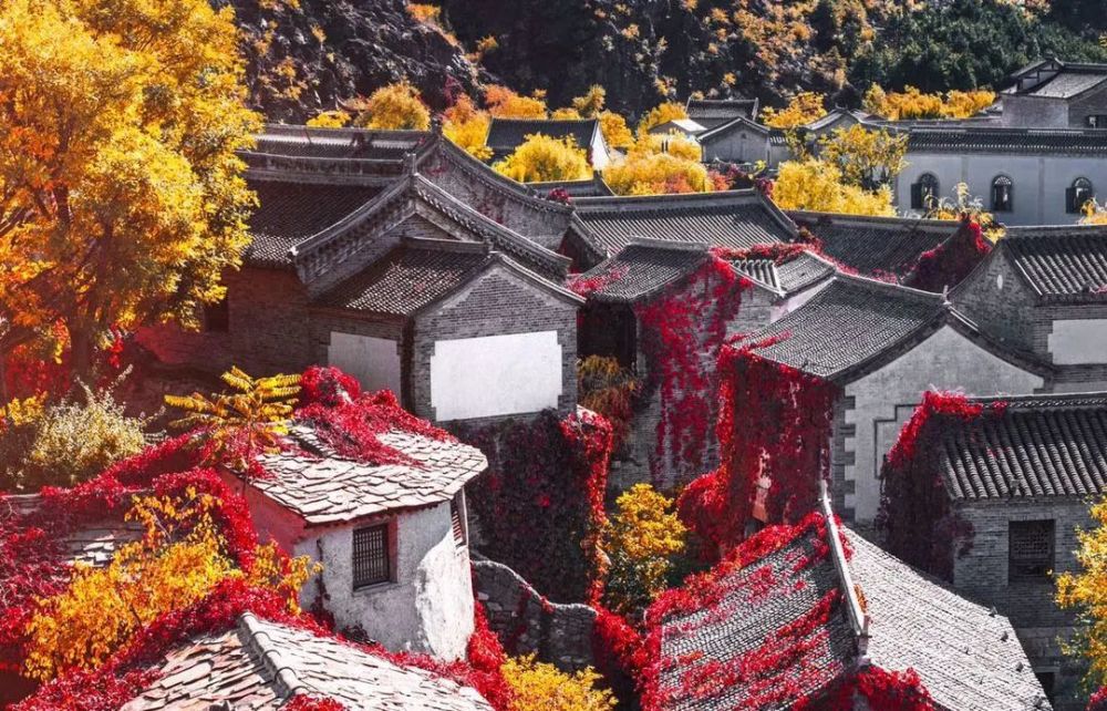 怀密号|一起乘坐萌萌哒“怀密号”去郊游！