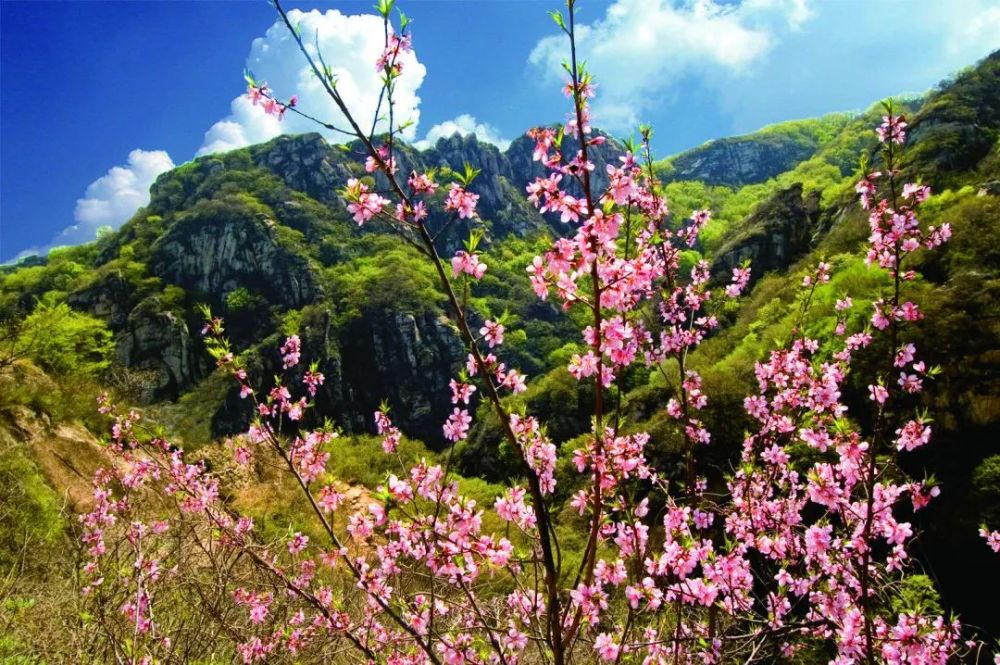 怀密号|一起乘坐萌萌哒“怀密号”去郊游！