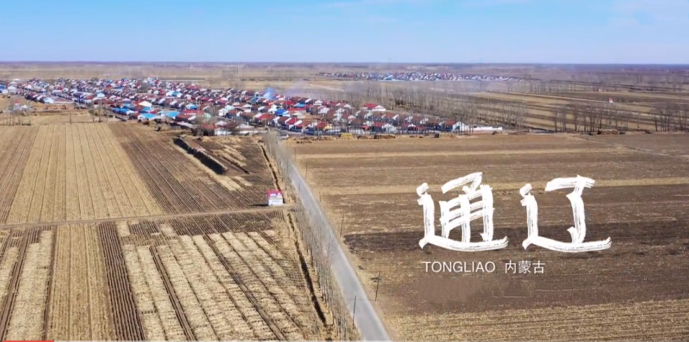 辣目洋子|用演技整容！谁还敢说她又丑又胖不值得红？