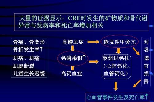 核苷酸类似物|乙肝3种一线药物6年研究，观察肾功能下降率，高钙血症发生率