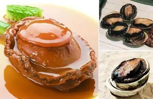 伊顿麦斯|是留学也是旅行：这些年我看到了更大更美的世界！