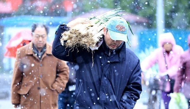 北方常备的6种过冬菜简单美味寒冬腊月少不了你备齐了吗