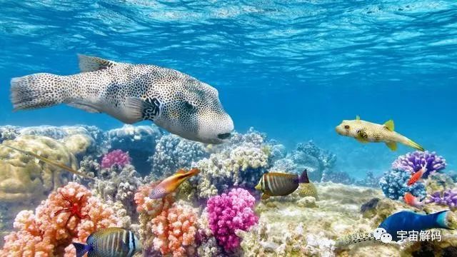 地球|地球文明在轮回？2000米深海发现庞大结构