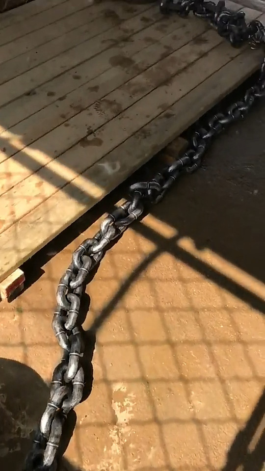 铲屎官|院内贴有“内有猛犬”字样，靠近看清后：这不是欺负老实人嘛