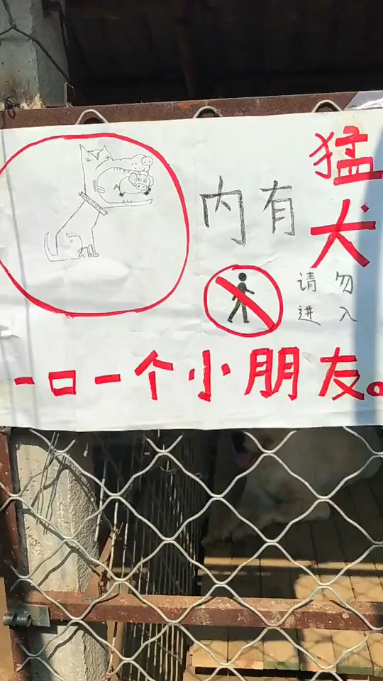 铲屎官|院内贴有“内有猛犬”字样，靠近看清后：这不是欺负老实人嘛
