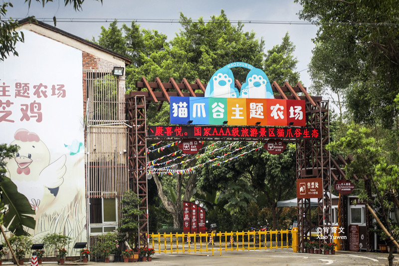 肇慶貓爪谷的初秋格外醉人！