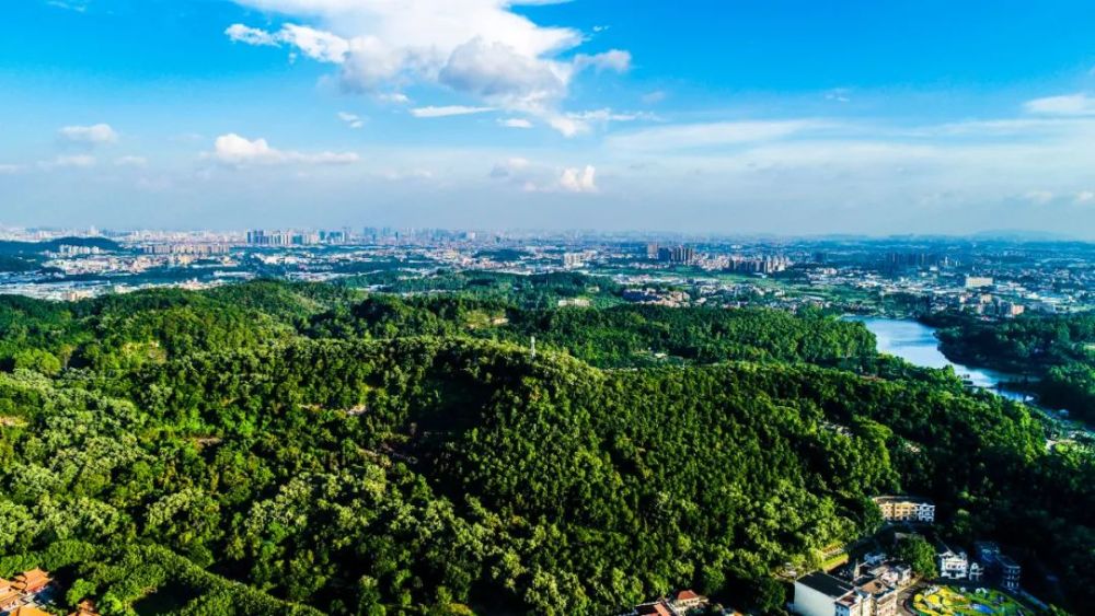 烂地变公园古村焕新颜狮山提档升级城市形象街坊幸福感满满