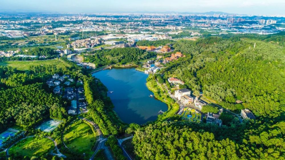 三山两湖一谷 大波美图带你领略南国桃园醉美盛景 腾讯新闻