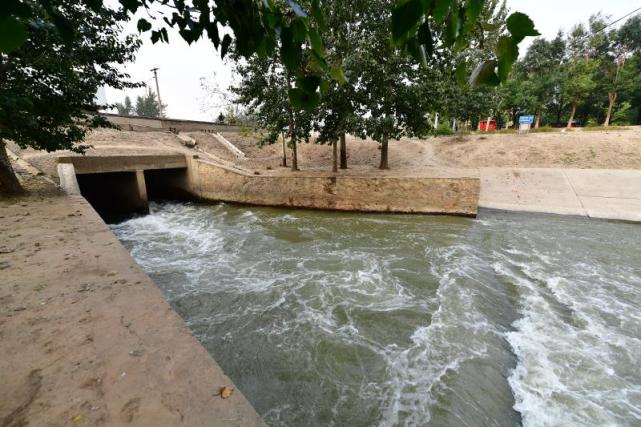 北运河织密东南郊生态水网,多条枯河清水复流