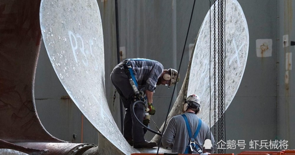 航母|航母螺旋桨威力有多巨大？看看这些海洋动物就知道了