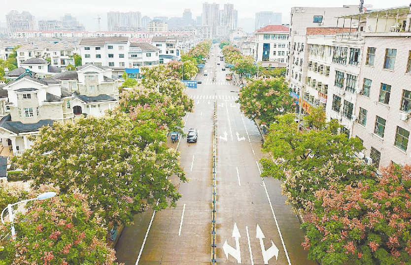 东城|繁花落尽秋风里，东城秋色别样浓
