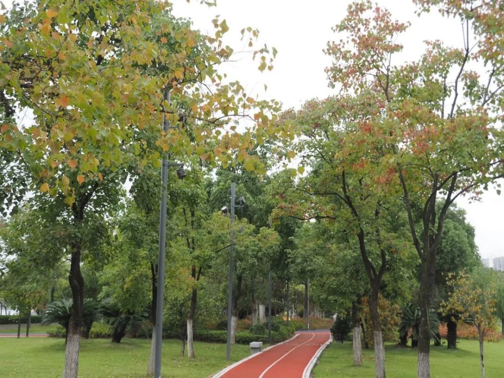 东城|繁花落尽秋风里，东城秋色别样浓