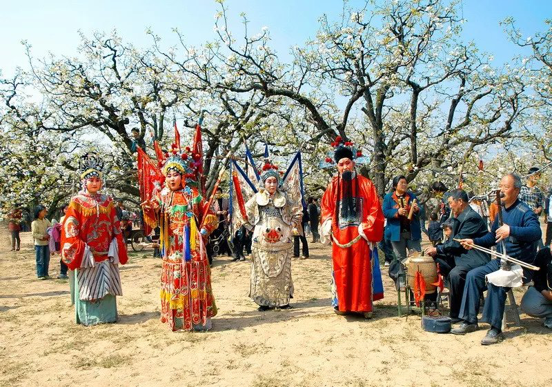 从贫困村到特色村,重点村,示范村—砀山县良梨村"村出列"后的工作