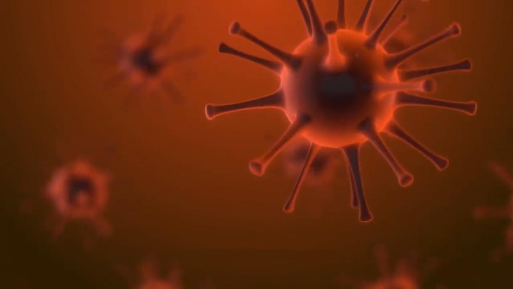 新冠病毒|2020年全球发生的灾难，背后真相究竟是什么？我们该何去何从