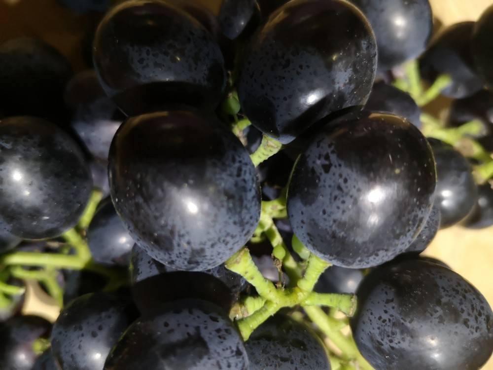 普通葡萄改了个名字,价格翻了5倍,这样的黑葡萄心太"黑",你上过当么?