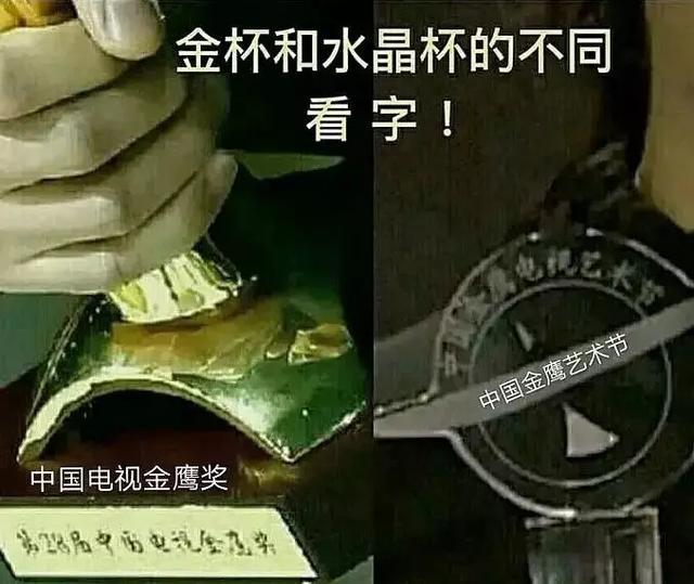 中国电视金鹰奖|金鹰节不再设奖项，杨幂瞬间尴尬，没做过女神唯一拿过的奖也取消