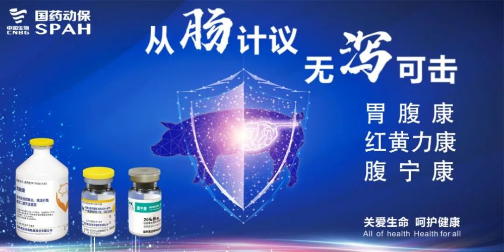 非洲猪瘟|详细！看新希望是如何防控非洲猪瘟的？