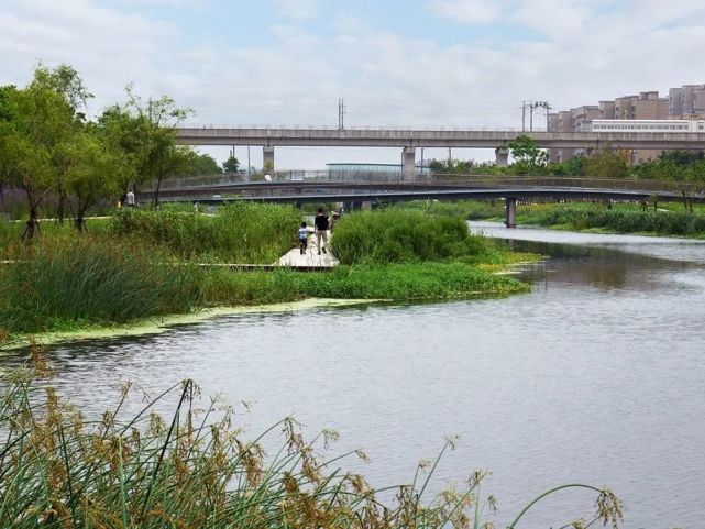 上海嘉定中央公園/sasaki|sasaki|中央公園|嘉定區