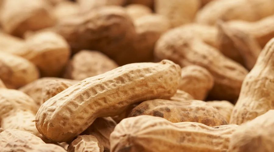 黄曲霉素|一家聚餐，7人死亡！都是因为吃了这个