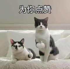 孙燕姿|天后也调皮！粉丝高铁偶遇孙燕姿，正主辟谣还cos同款姿势