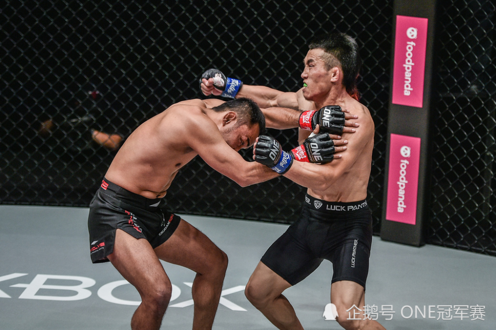 草原狼和喜格图孤身作战没有团队比赛只打60分