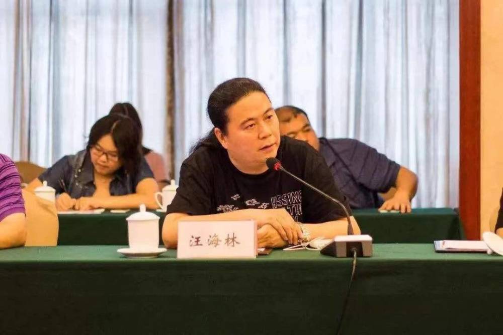 汪海林|骂鹿晗撕肖战，汪海林称：迪丽热巴在我的戏里，丫鬟都不配
