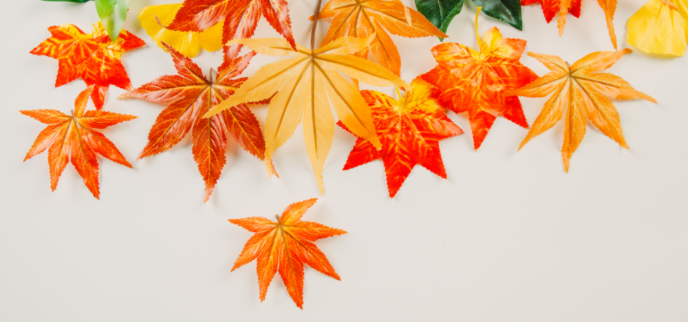 吴冀婧|过去两周我们共发表8篇原创好文章