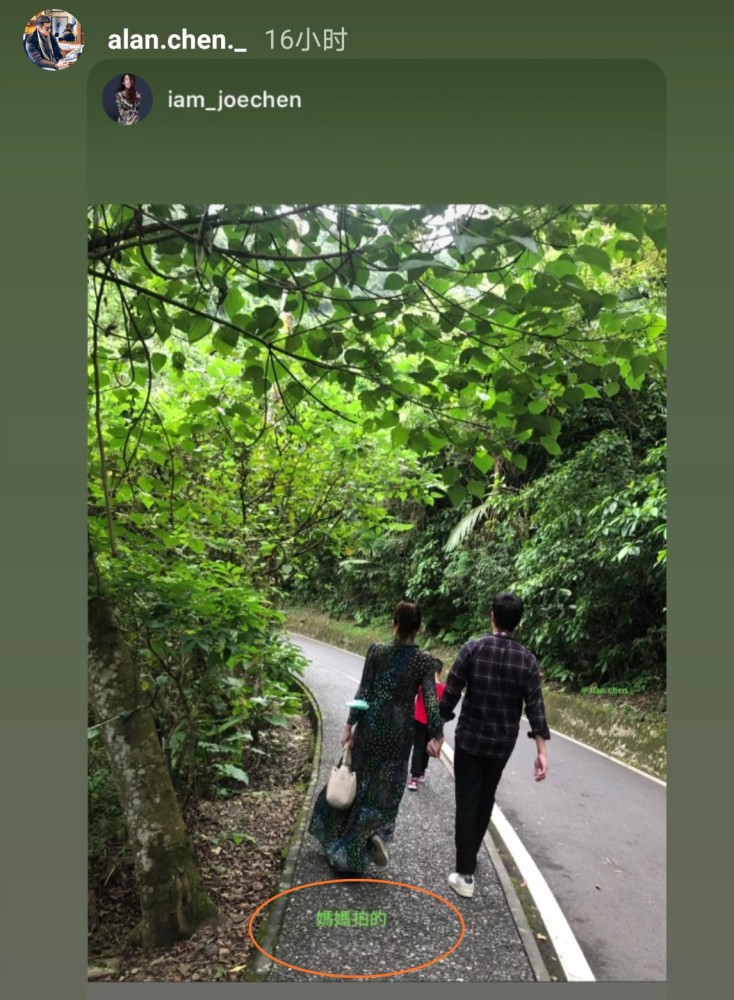 陈乔恩|陈乔恩带男友艾伦回娘家，陈妈拍下二人牵手背影照，可见对准女婿很满意