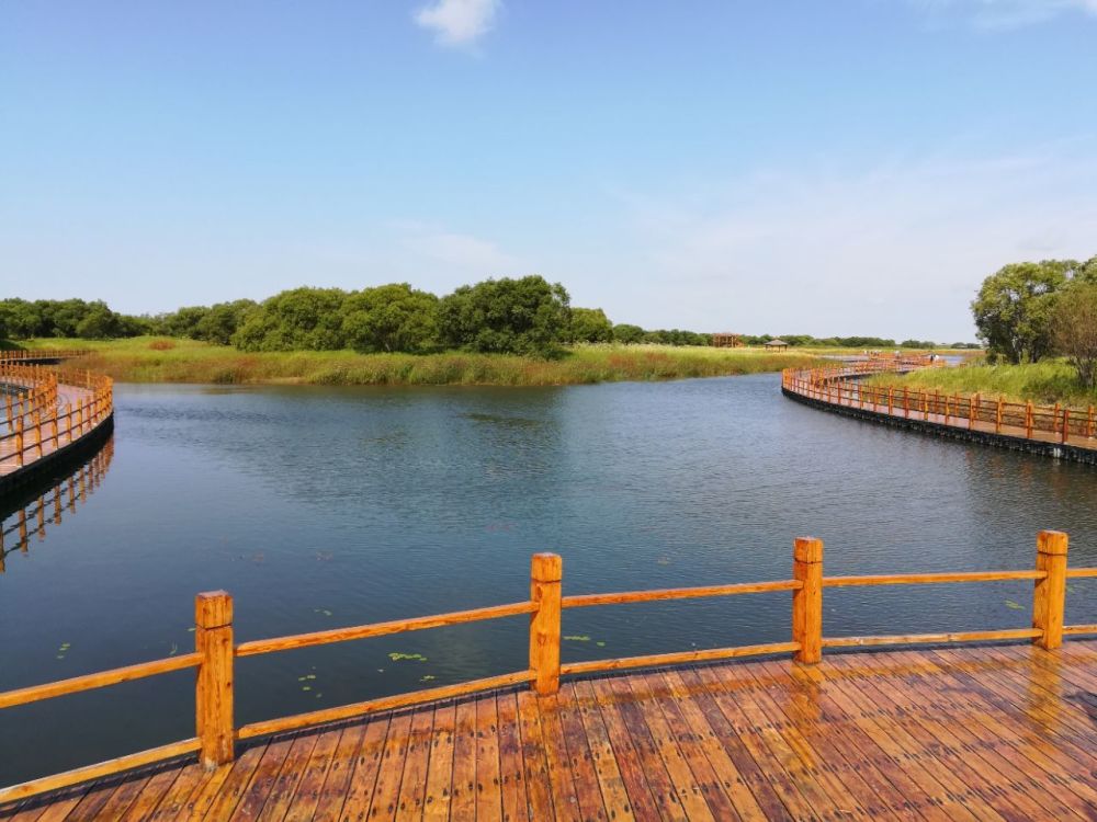 夏季去东北哪里旅游好(东北夏季旅游必去的地方)