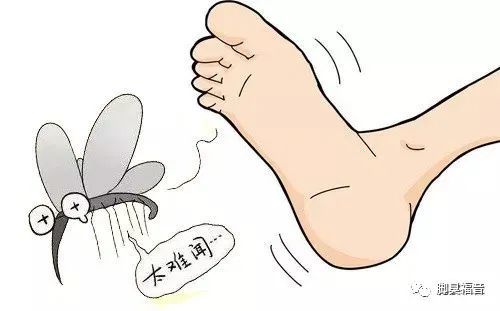 骏越脚气王告诉你为什么秋天容易脚臭