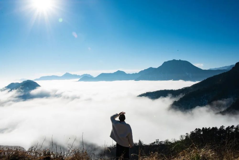 梦想|5句人生歪理，歪得太有道理了