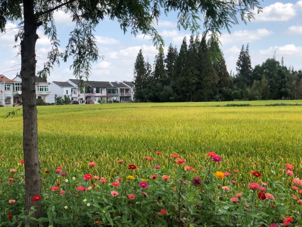 散文|散文：东庄劝学亭