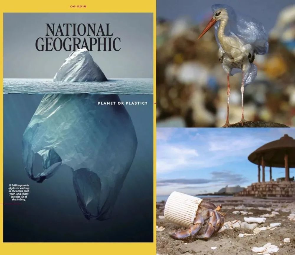 微塑料|可怕！这个有5个英国大的国家：目标让每个人类都能吃上口罩！