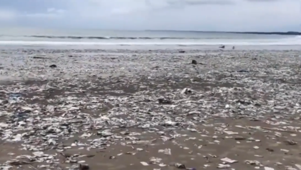 微塑料|可怕！这个有5个英国大的国家：目标让每个人类都能吃上口罩！