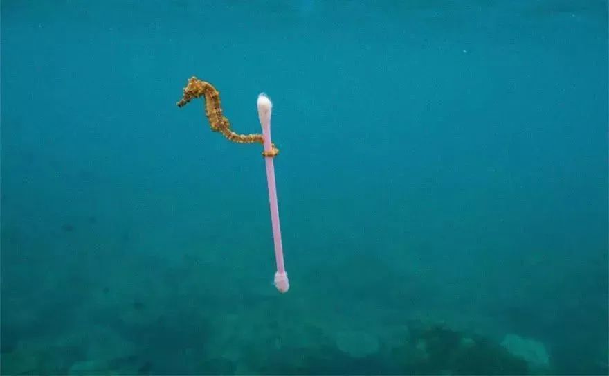 微塑料|可怕！这个有5个英国大的国家：目标让每个人类都能吃上口罩！