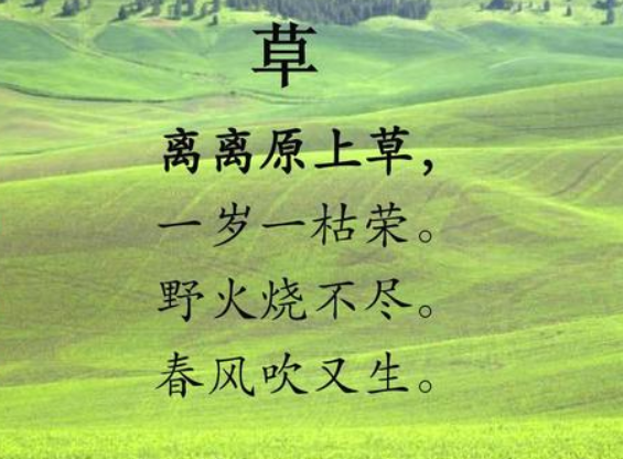 离离原上草中的离离到底是何意很多人都不知道它的意思