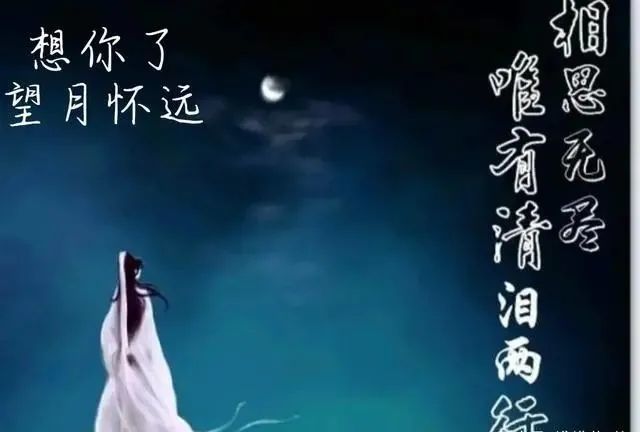 断了联系,却断不了思念;人入心永远忘不了,情动心一辈子放不下